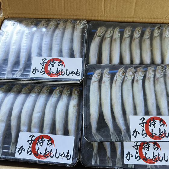 27-Shisamo-170grm.jpg