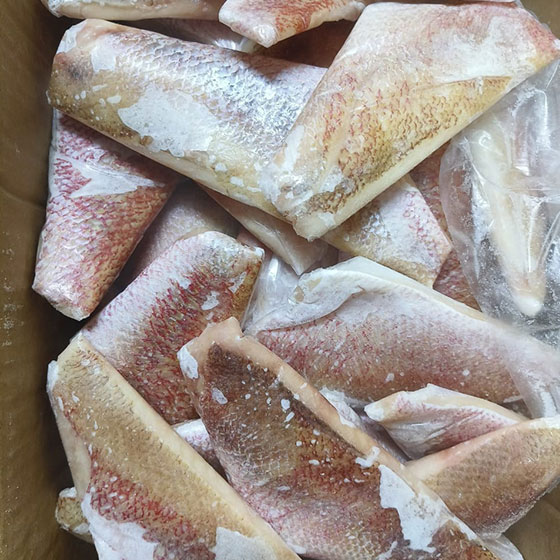 3-Kakap-Fillet-Skin-On.jpg